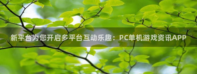 天美娱乐平台注册：新平台为您开启多平台互动乐趣：PC单机游戏