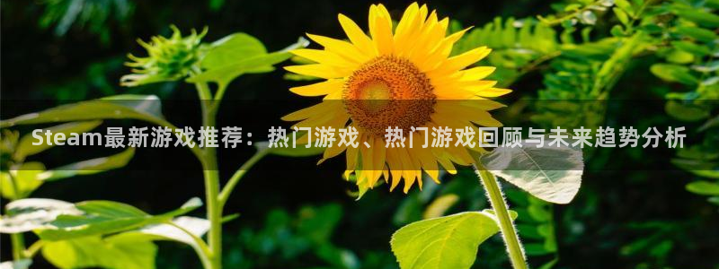 天美娱乐登陆