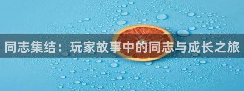 天美娱乐在线登录：同志集结：玩家故事中的同志与成长之旅