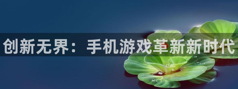 天美娱乐4招商：创新无界：手机游戏革新新时代