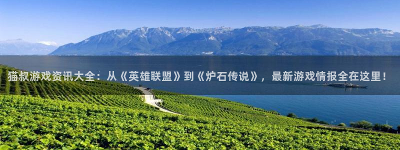 天美娱乐app下载|下载地址：猫叔游戏资讯大全：从《英雄联盟