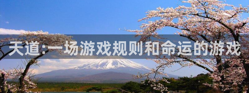 天美娱乐4招商：天道:一场游戏规则和命运的游戏