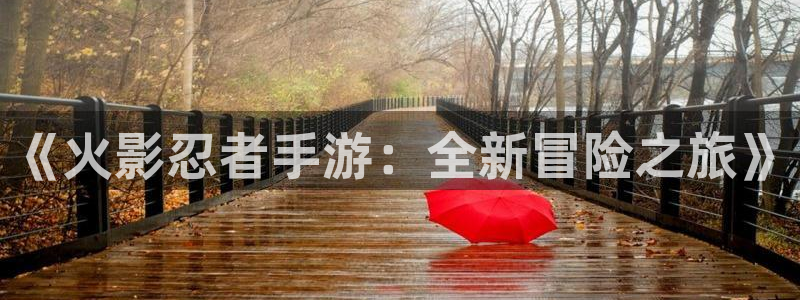 天美娱乐app下载：《火影忍者手游：全新冒险之旅》