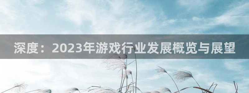 天美娱乐注册服务条款：深度：2023年游戏行业发展概览与展望
